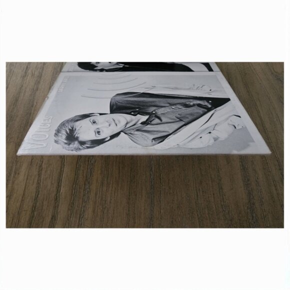 HALL & OATES•Voices•RCA Victor (#AQL1-3646)•Indianapolis Pressing - Picture 7 of 14